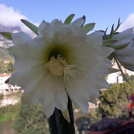 Appartamento Piso Con Desayuno Incluido Y Vistas A La Montana. Monistrol de Montserrat Esterno foto