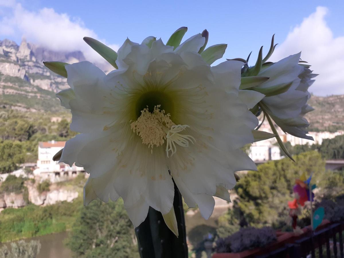 Appartamento Piso Con Desayuno Incluido Y Vistas A La Montana. Monistrol de Montserrat Esterno foto